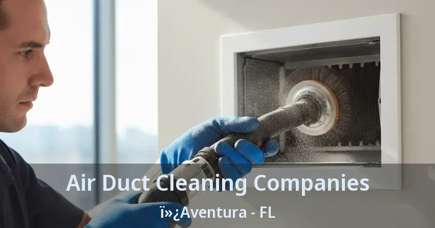 Air Duct Cleaning Companies Aventura - FL Air Duct Cleaning Companies Aventura - FL