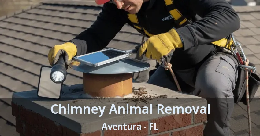 Chimney Animal Removal Aventura - FL Chimney Animal Removal Aventura - FL