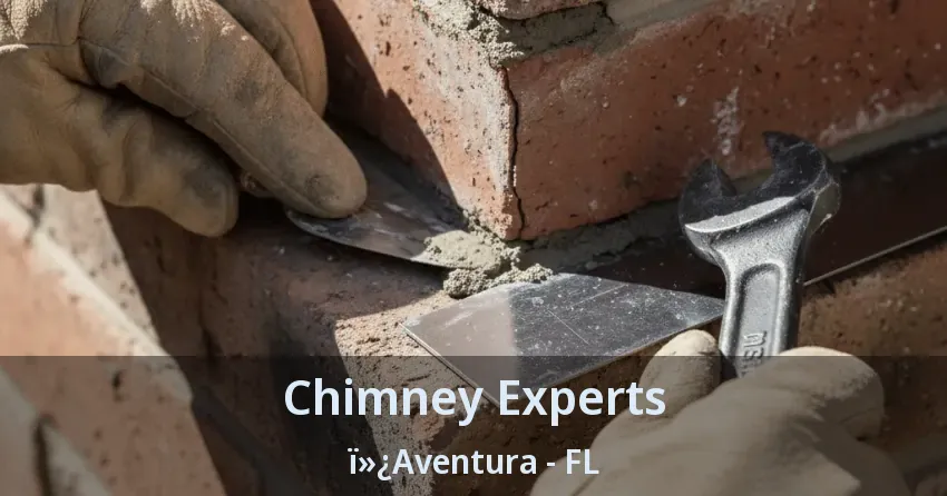 Chimney Experts ï»¿Aventura - FL