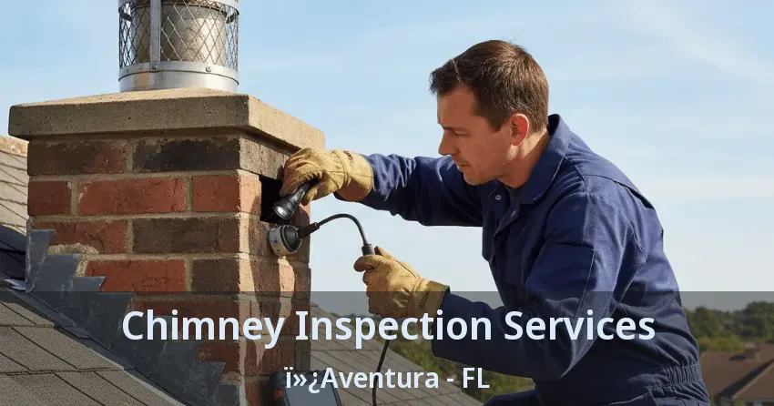 Chimney Inspection Services ï»¿Aventura - FL