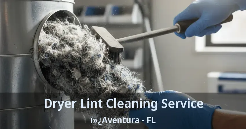 Dryer Lint Cleaning Service ï»¿Aventura - FL