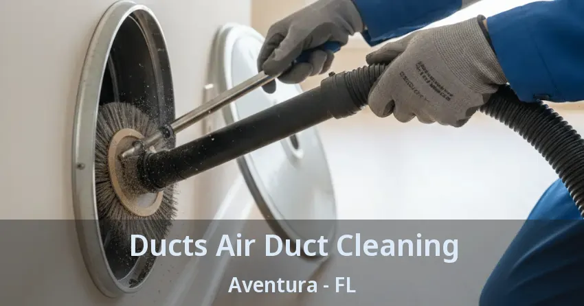 Ducts Air Duct Cleaning ﻿Aventura - FL