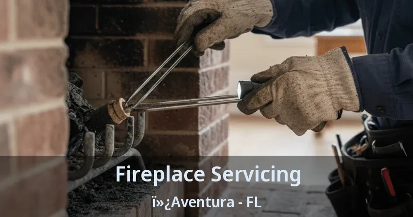 Fireplace Servicing ï»¿Aventura - FL