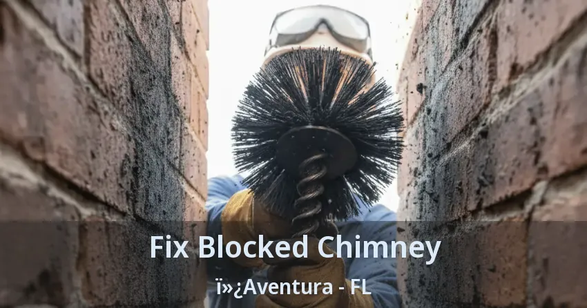 Fix Blocked Chimney ï»¿Aventura - FL