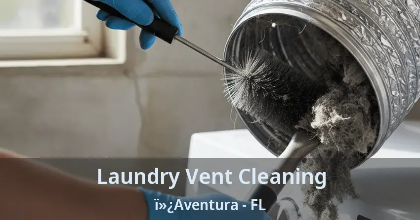 Laundry Vent Cleaning ï»¿Aventura - FL