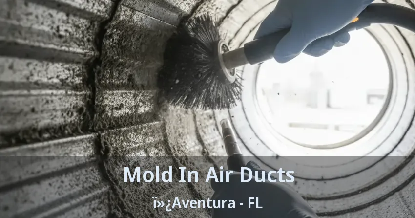 Mold In Air Ducts ï»¿Aventura - FL