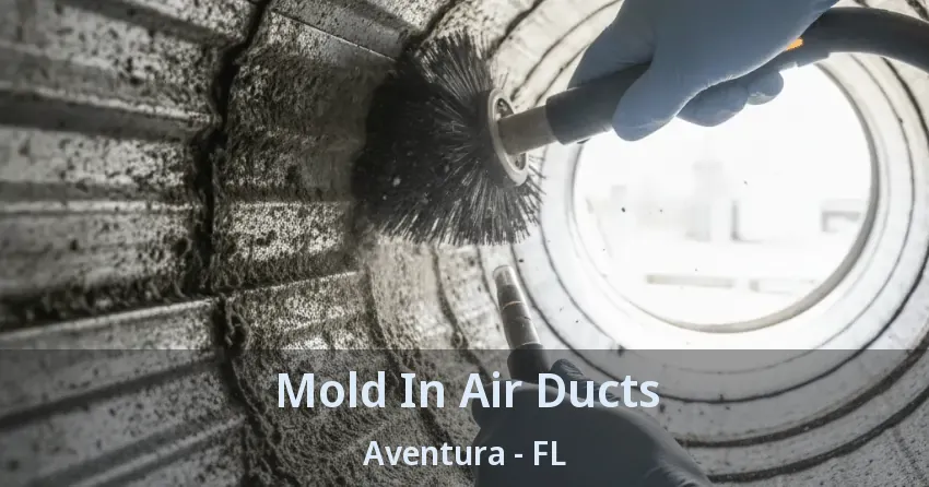 Mold In Air Ducts ﻿Aventura - FL