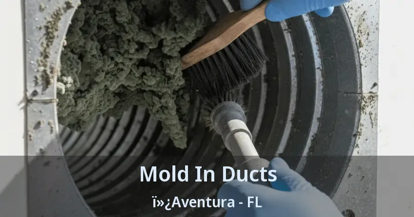 Mold In Ducts Aventura - FL Mold In Ducts Aventura - FL