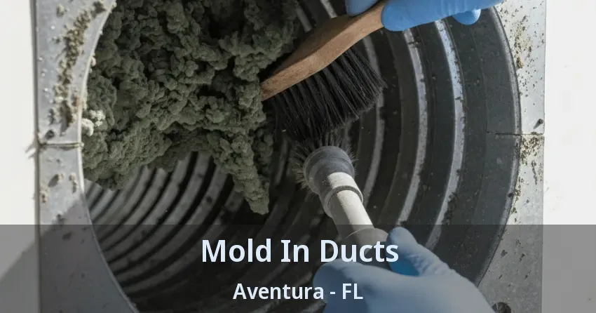 Mold In Ducts Aventura - FL Mold In Ducts Aventura - FL