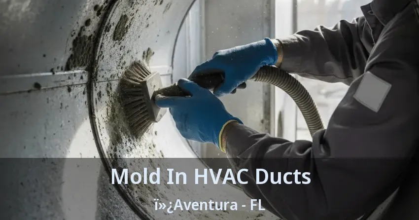 Mold In HVAC Ducts ï»¿Aventura - FL