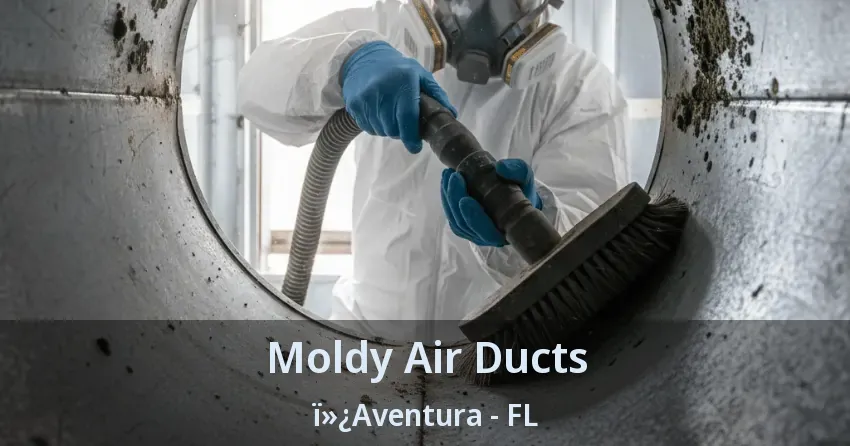 Moldy Air Ducts ï»¿Aventura - FL